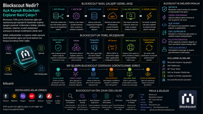 Blockscout Nedir? Açık Kaynak Blockchain Explorer Nasıl Çalışır?